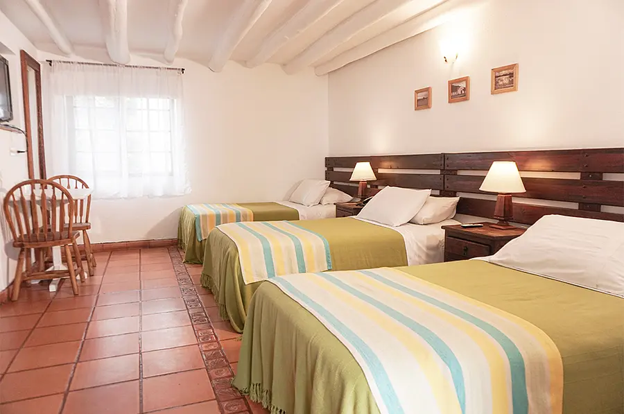 Habitación Junior Suite - Cuádruple